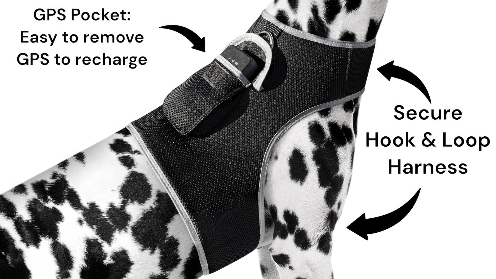 iTrackPET MINI GPS Dog Tracking and Training Collar Device