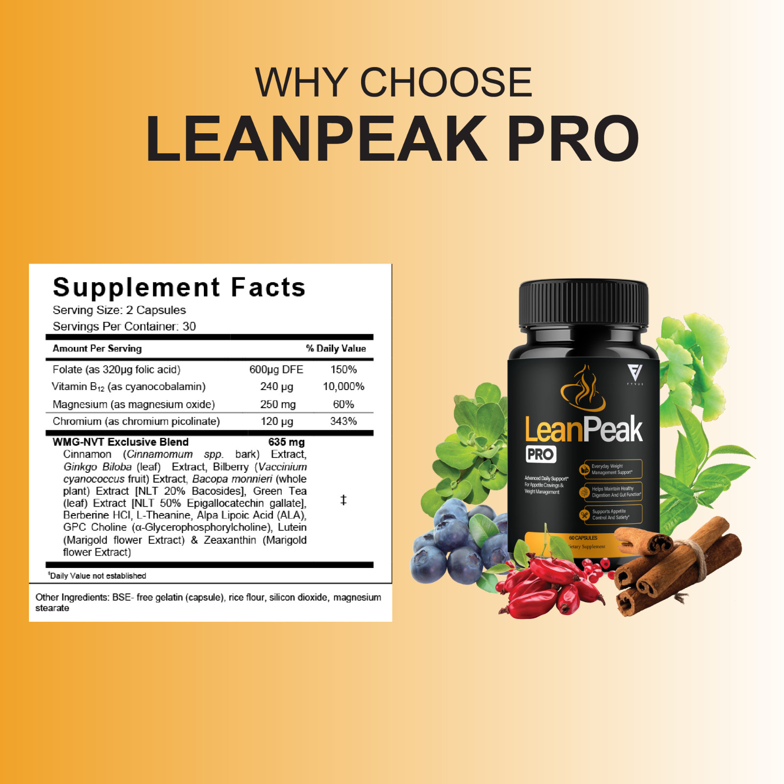 (5 Pack) Lean Peak Pro Capsules, LeanPeak Daily Formula Support (300 Capsules)
