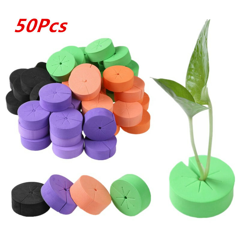 50 Neoprene Clone Collar Foam Inserts for Garden DIY Hydroponics Cloning Plants