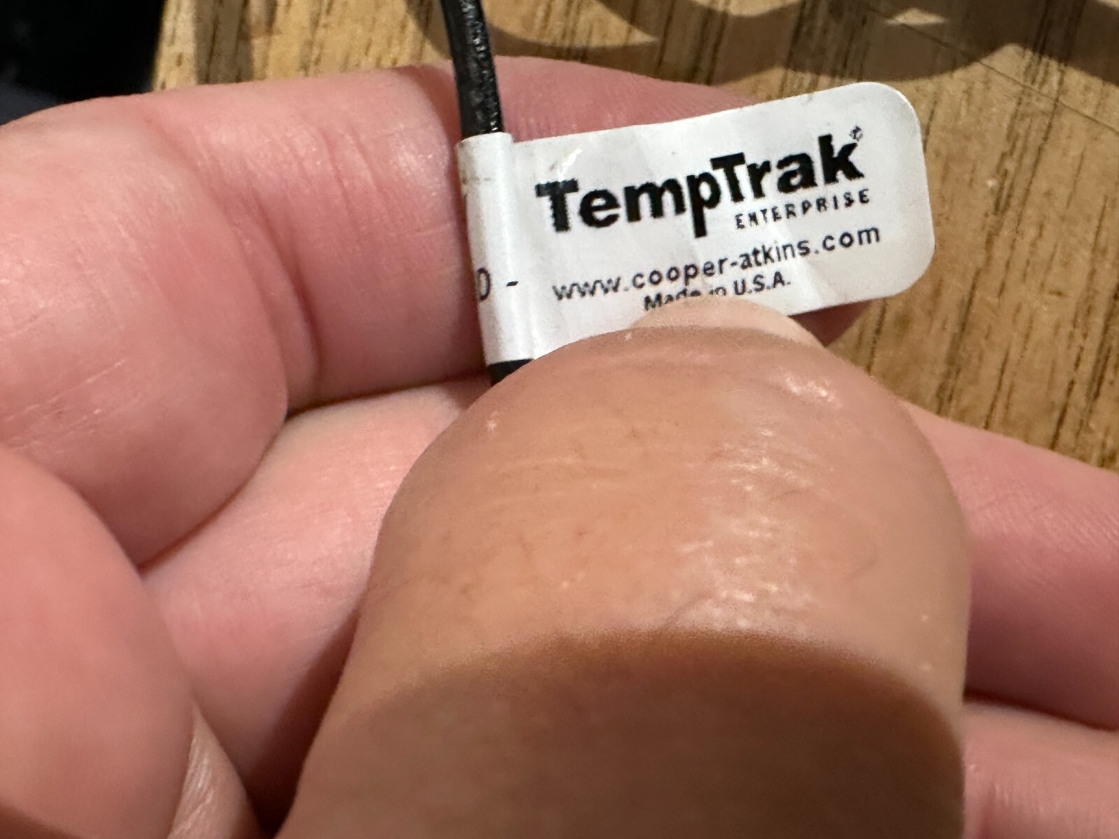 Copeland Thermister Probes - 2113 Solid Simulator Probe, 2013 Air Probe