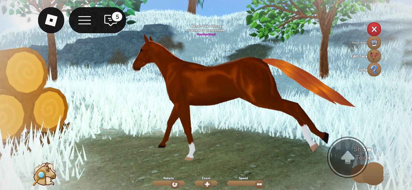Akhal-Teke Horse Very Rare Breed Virtual Asset for Roblox Game