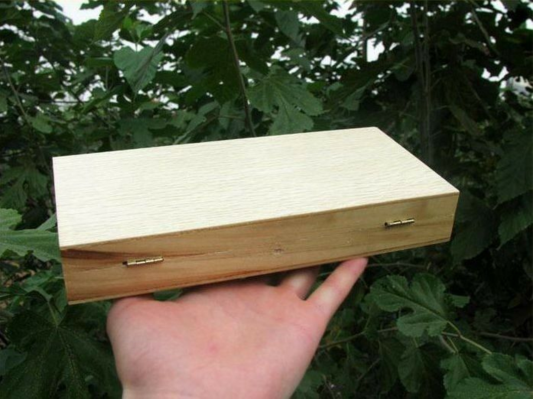 Wooden Microscope Slide Box Rectangle Hold Cabinet Slides Holder Case Storage