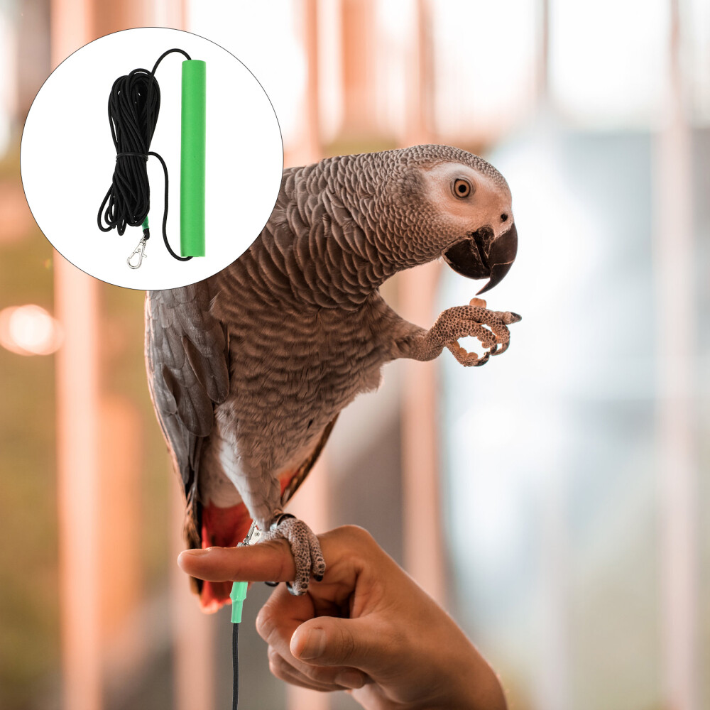 Conure Conure Bird Rope Hamster Leash Training