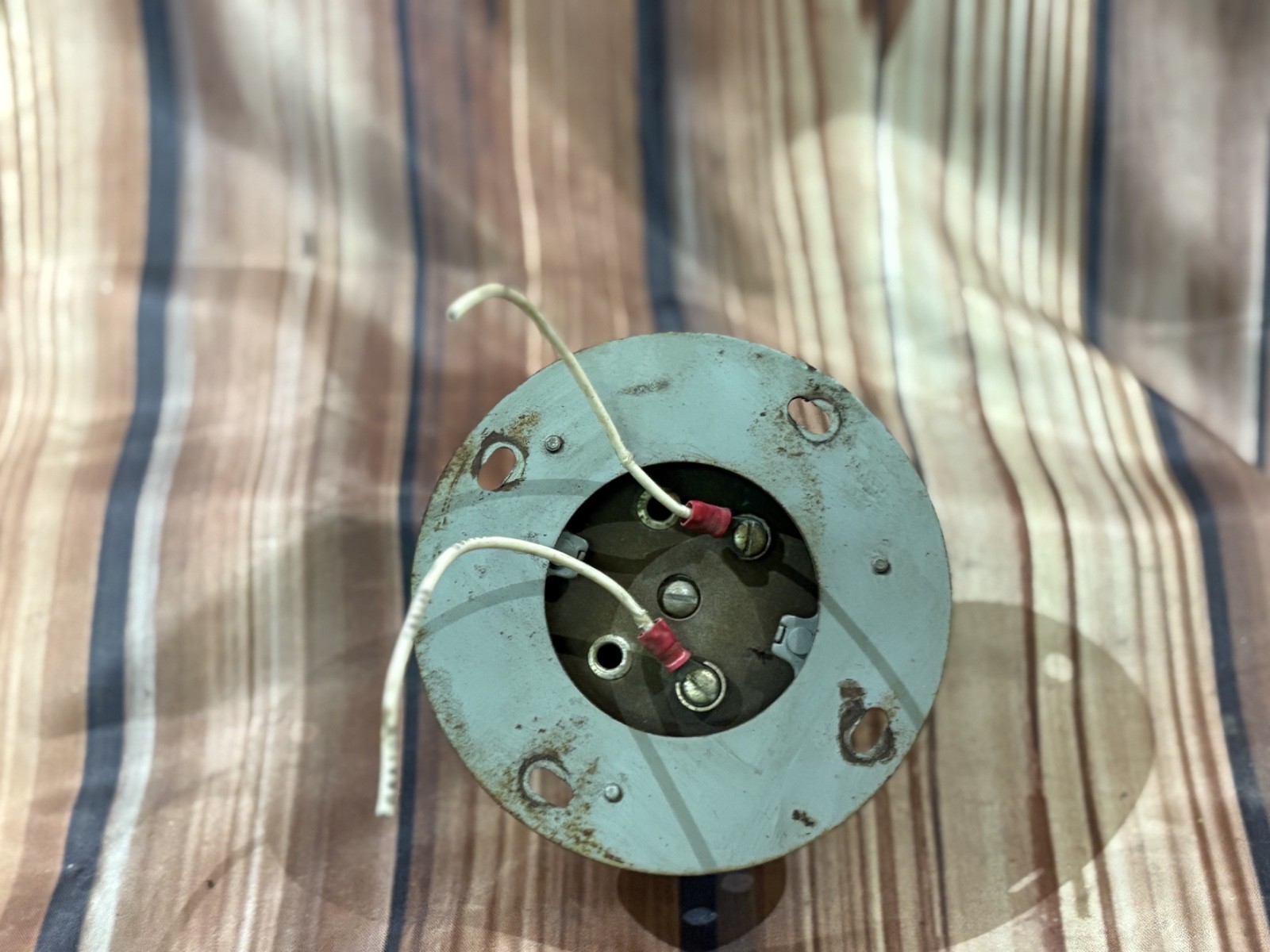 Edwards Warning Horn 319 12V (3725)