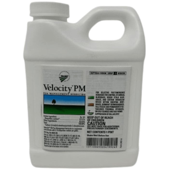 Velocity PM PT