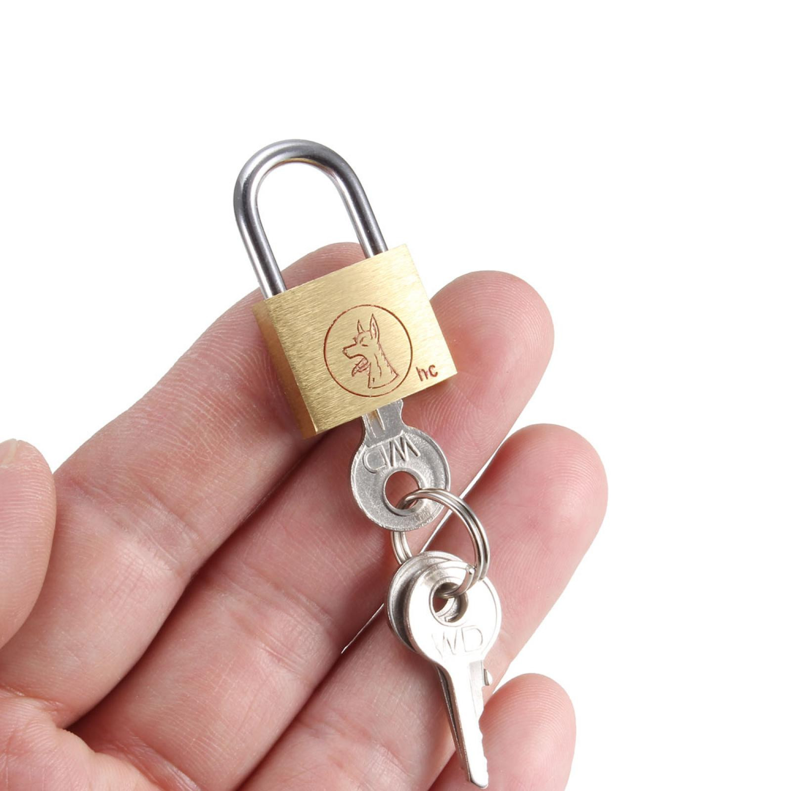 Wolf Head Mini Size Brass Door Lock Padlock with 3 Keys