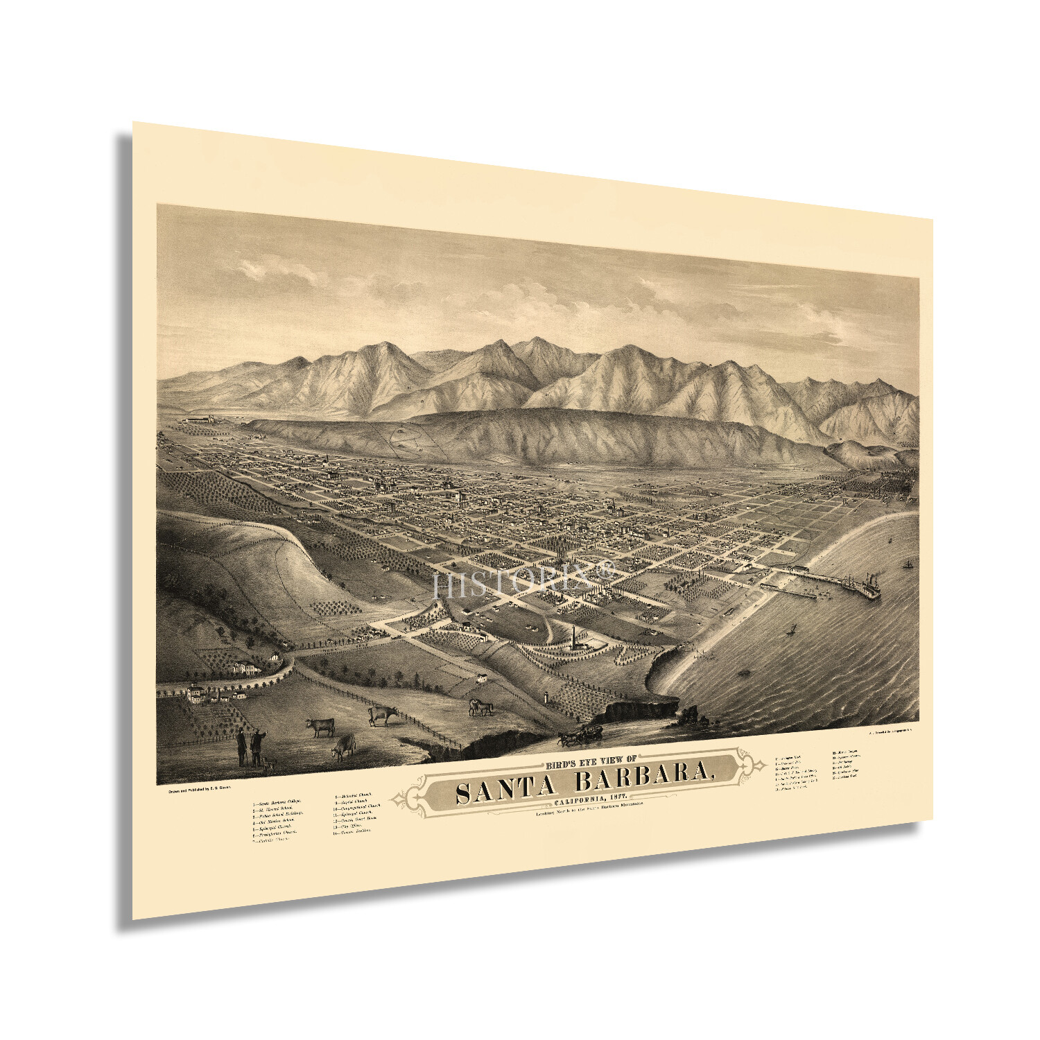 1877 Santa Barbara California Map Poster - History Map of Santa Barbara Wall Art