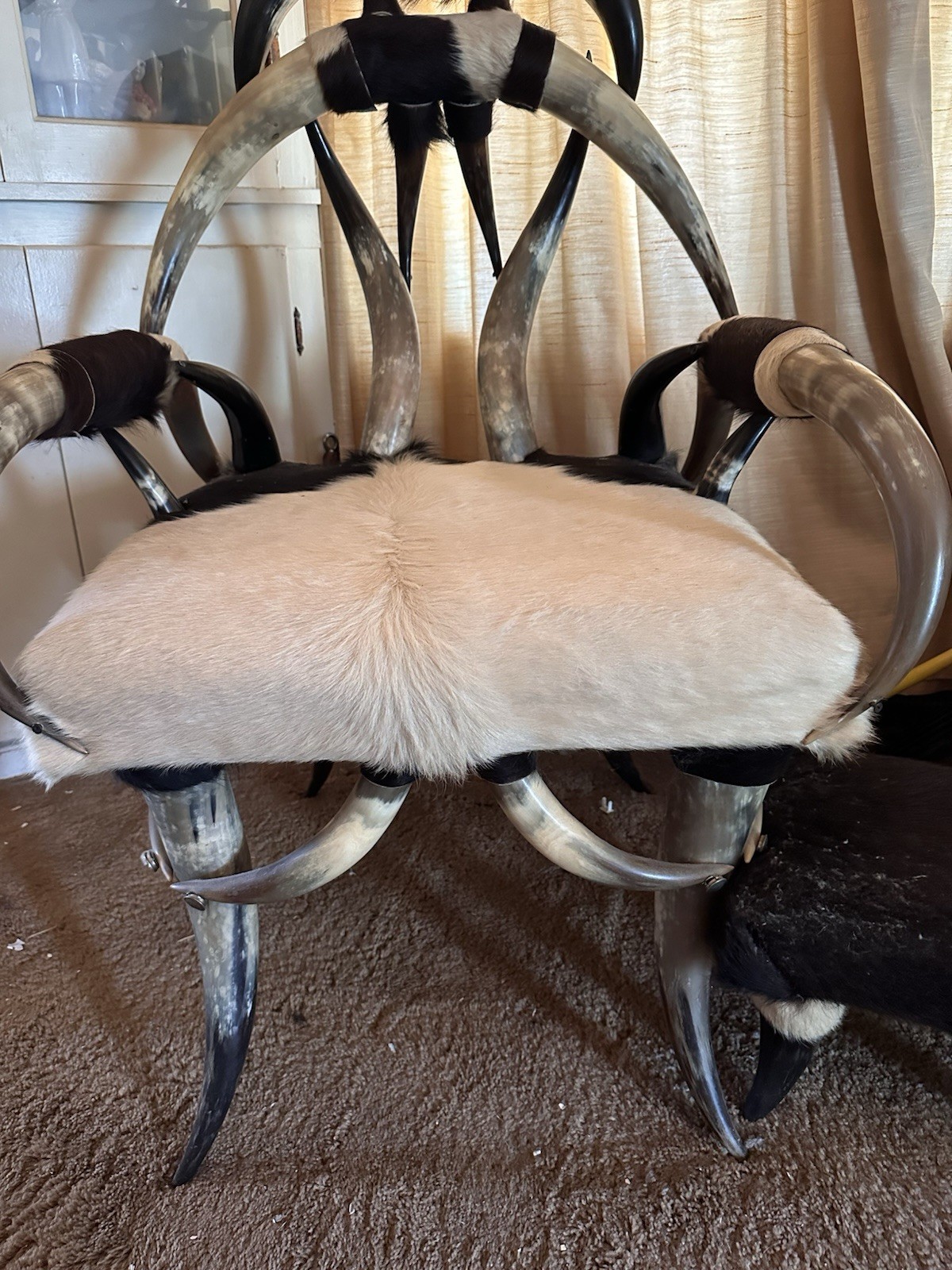 Texas Longhorn 2 Piece Chair Set