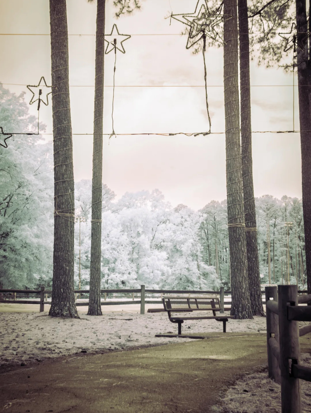 Infrared converted Camera Nikon D70 Full Spectrum