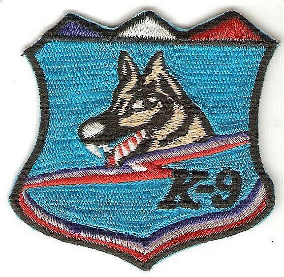 US Air Force USAF 20th Security Air Squadron Dog Section Patch NO TARIFF