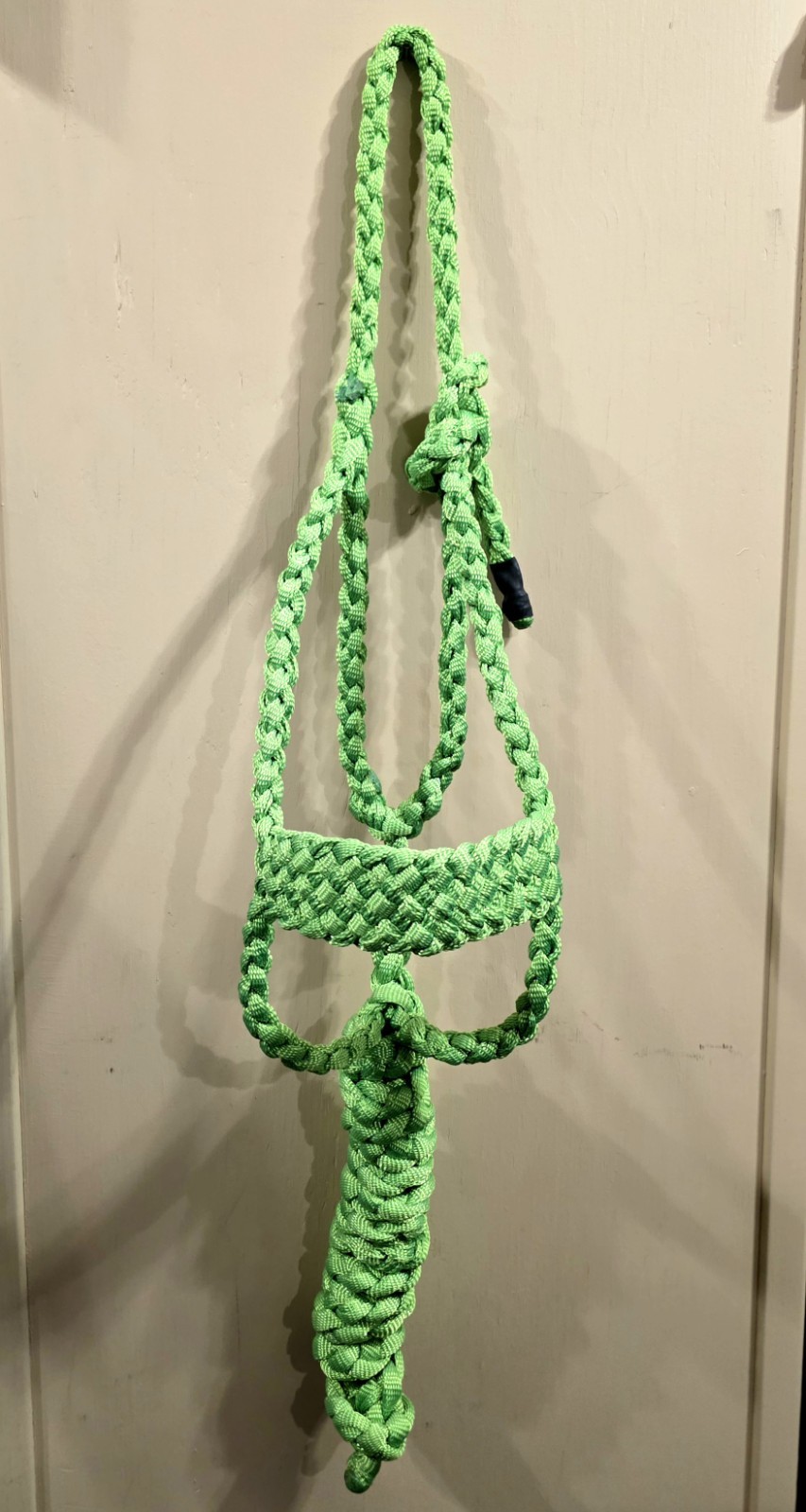 BRAND NEW Lime Green Muletape Brute Halter
