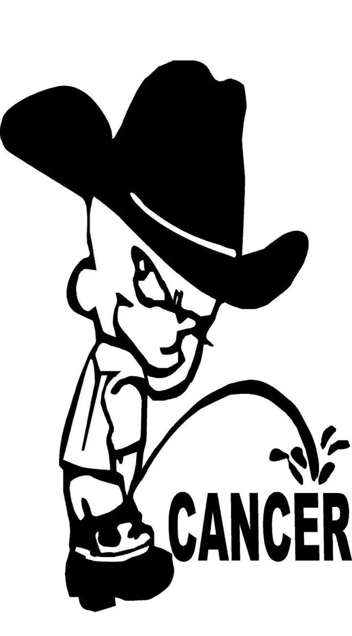 Piss On Cancer F Cancer Survivor Vinyl Decal Sticker Window Toolbox Truck Car