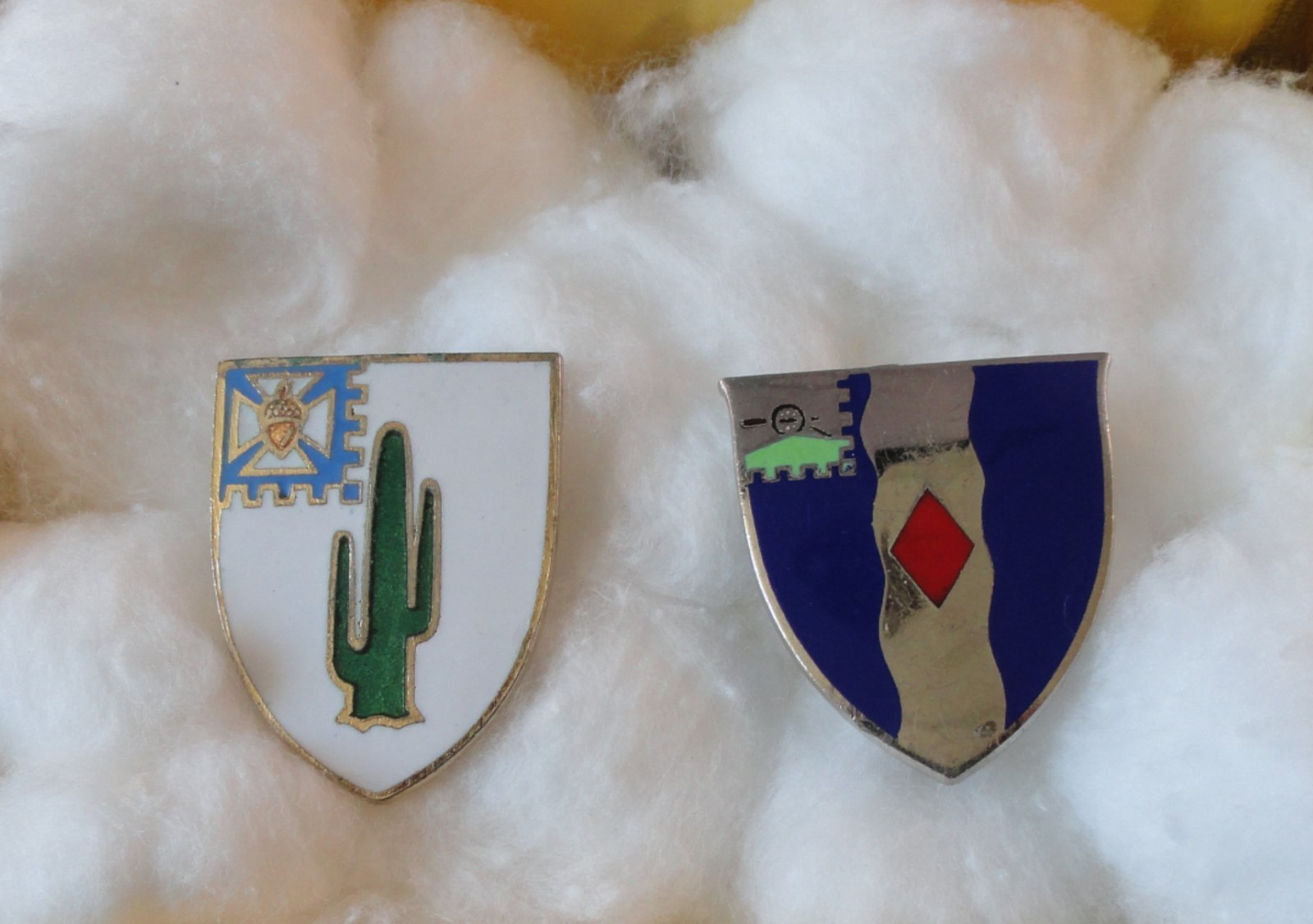 Two US Military Insignia Pins - Cactus - Red Diamond
