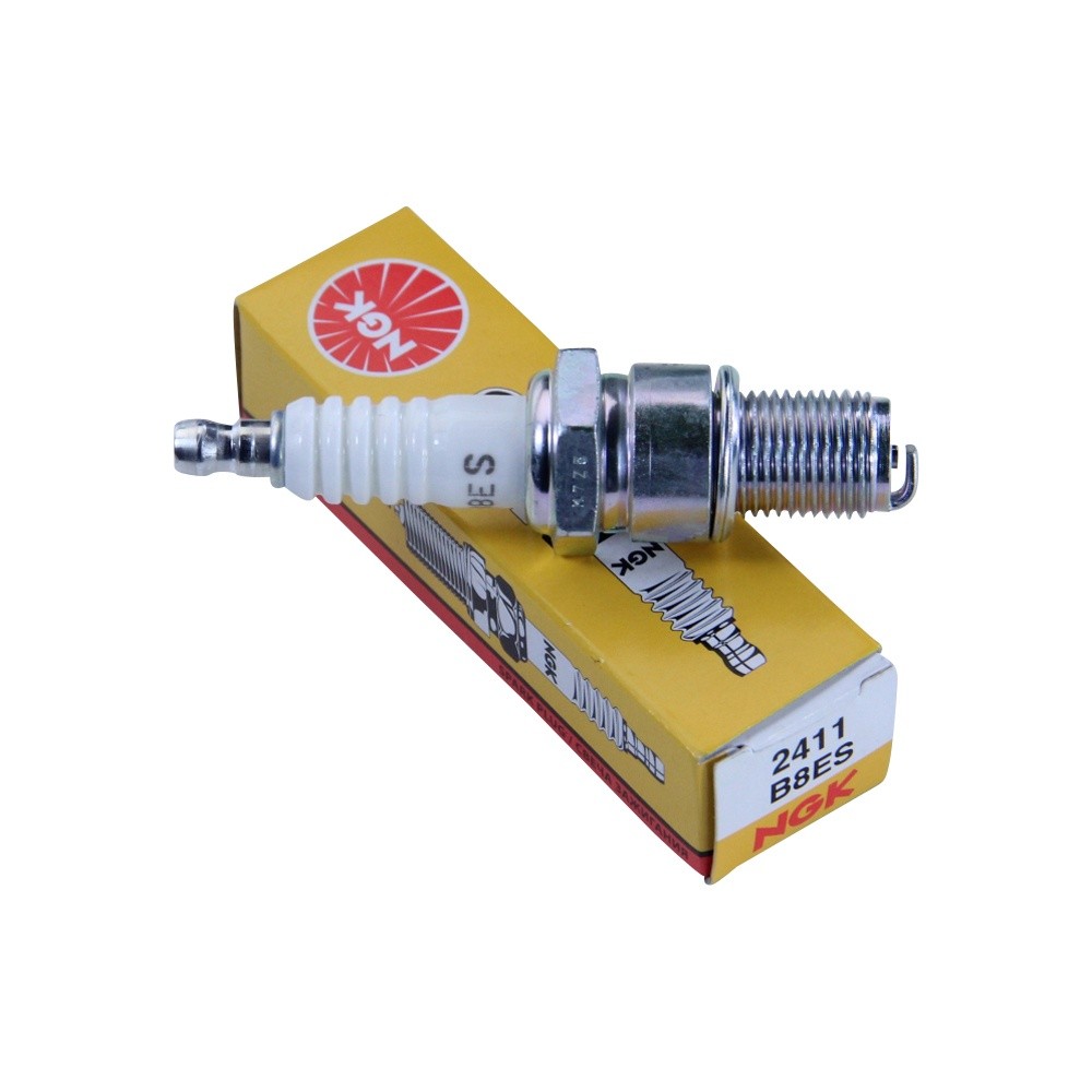 2 X NGK B8ES Spark Plug