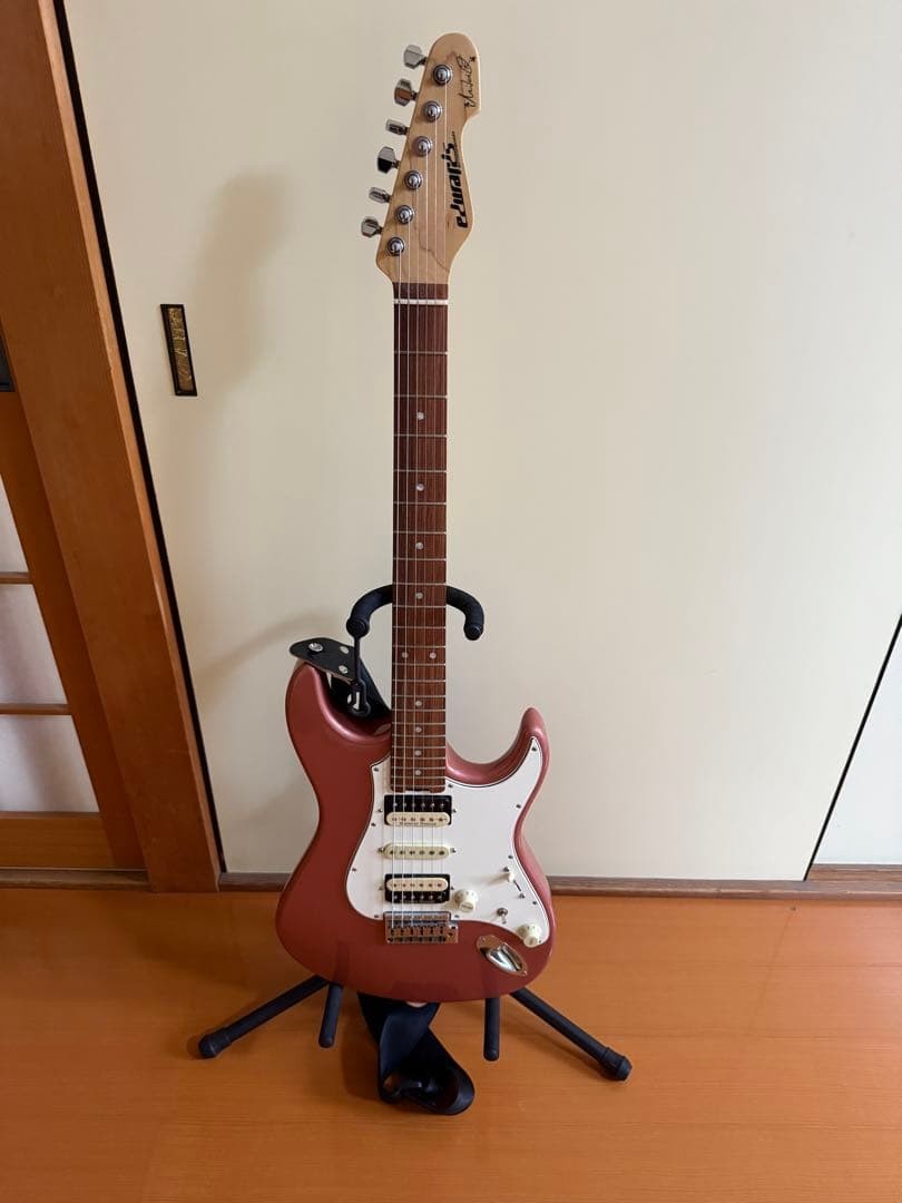 Esp Edwards Electric Guitar Fujioka Custom