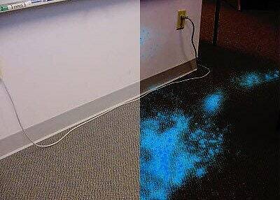 Luminol blood trace detection kit (chemiluminescence) forensics & spray bottle