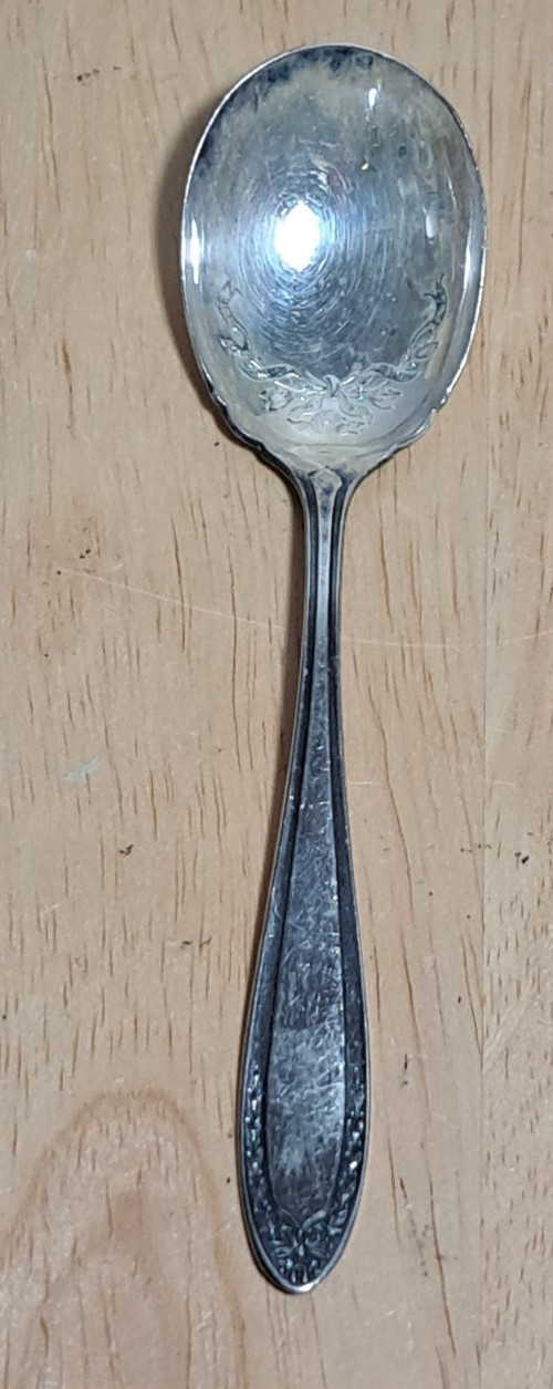 Oneida Par Plate Silver BRIDAL WREATH Gumbo Soup Spoon