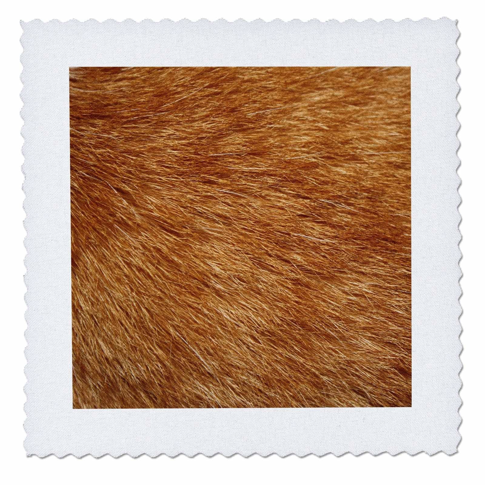 3Drose Qs8038610 Orange Tabby Cat Fur-Quilt Square 25 By 25-Inch Qs_80386_10