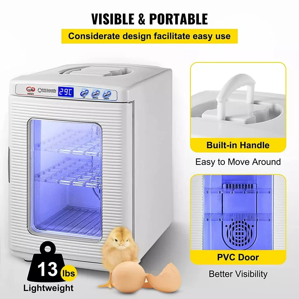 Incubadora De Huevos De Reptil Digital Pollo Para Ninos Reptile Incubator.