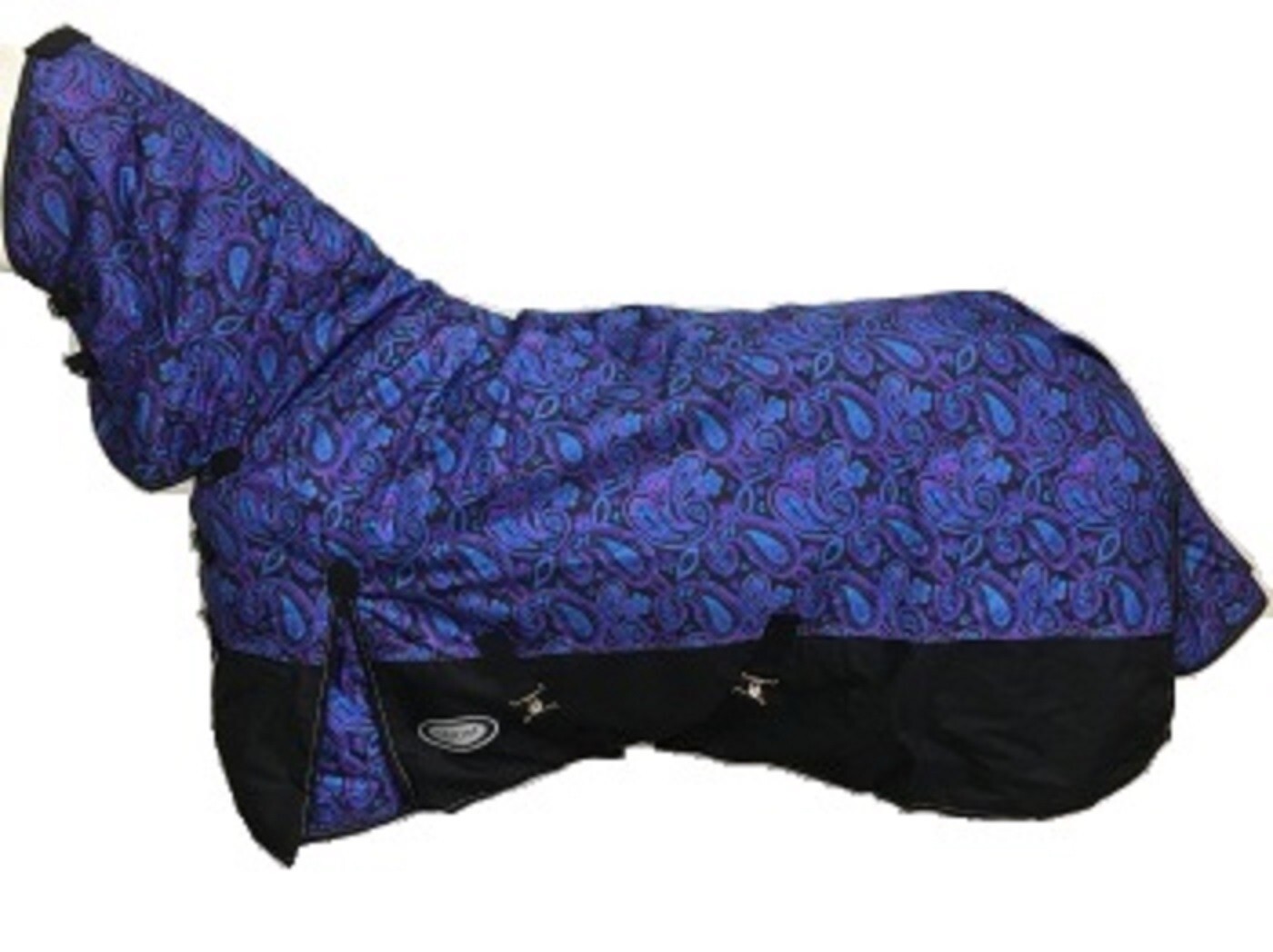 AXIOM 1800D BALLISTIC PURPLE PAISLEY 300G FILL SUPER TOUGH WINTER COMBO - 6'9"