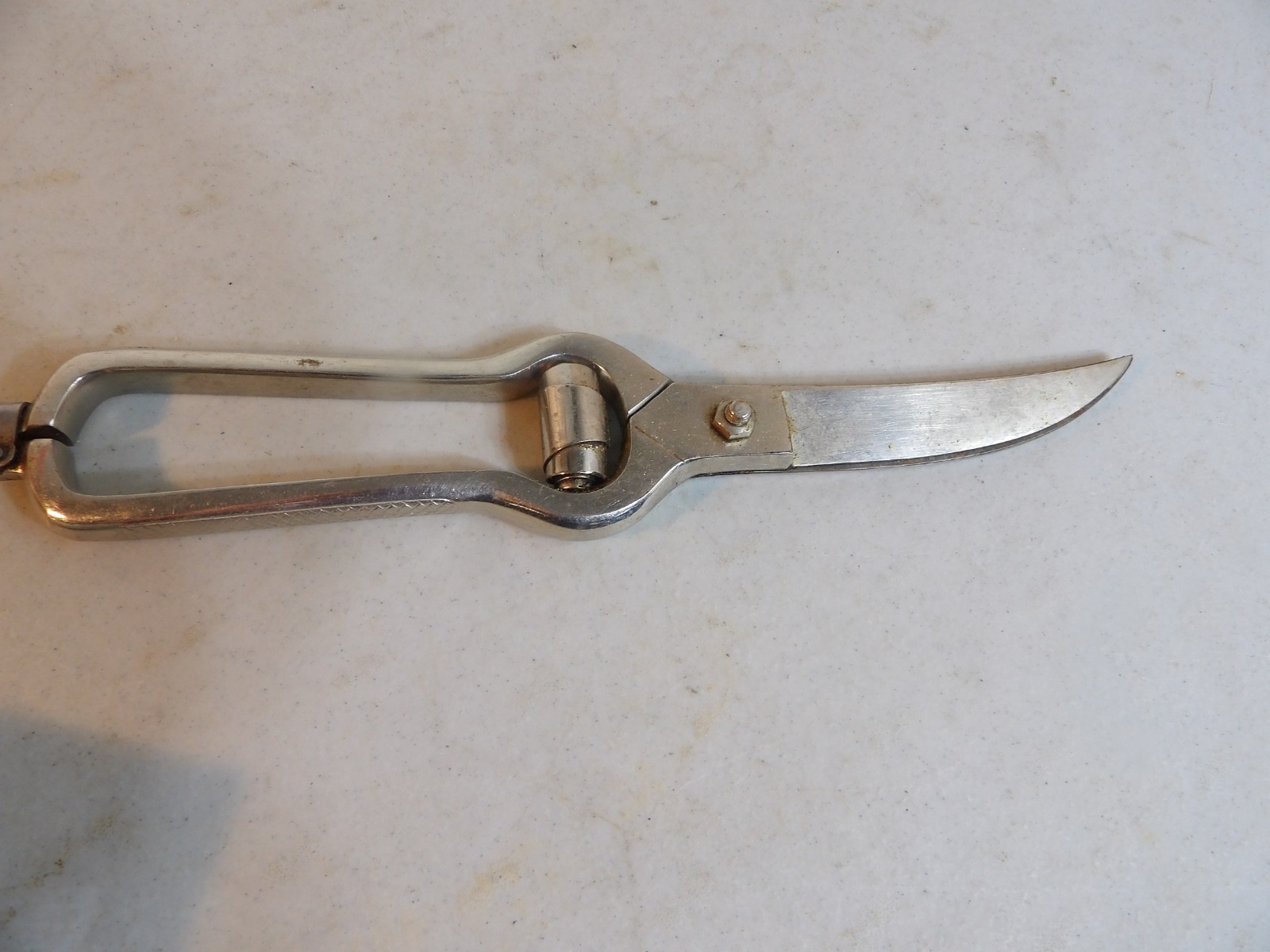 Drezack Poultry Shears