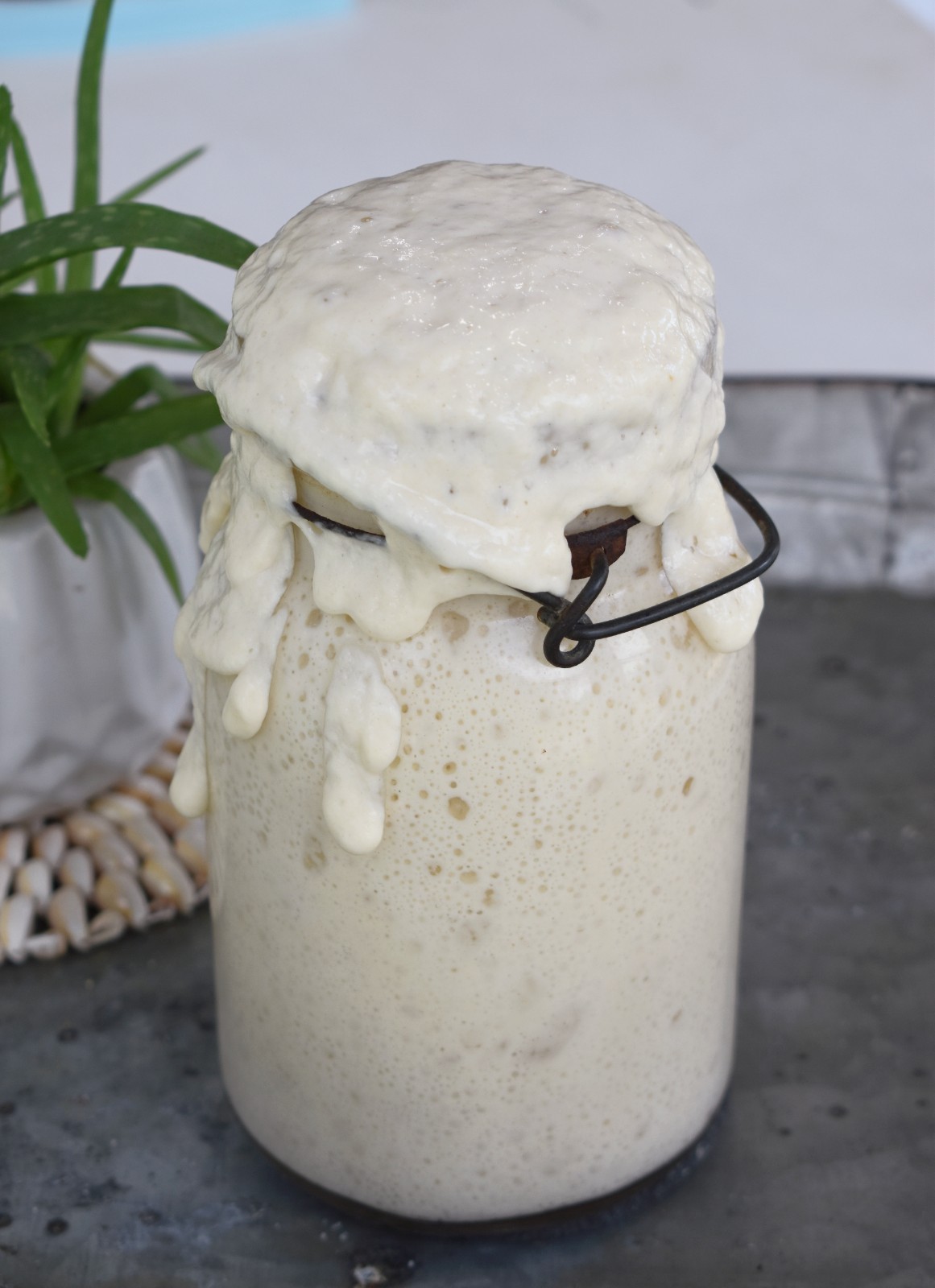 Dried Sourdough Starter for baking