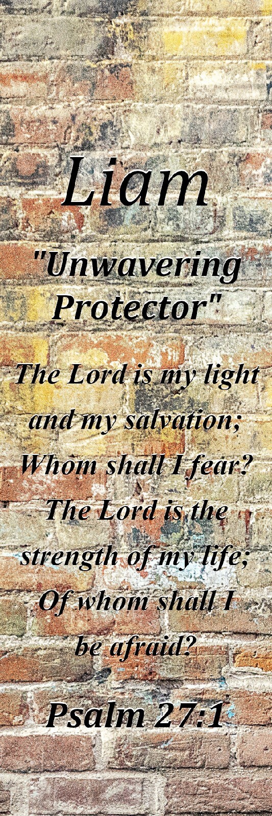Liam "Unwavering Protector" Keepsake Name Meaning Bookmark with Verse & Tassel