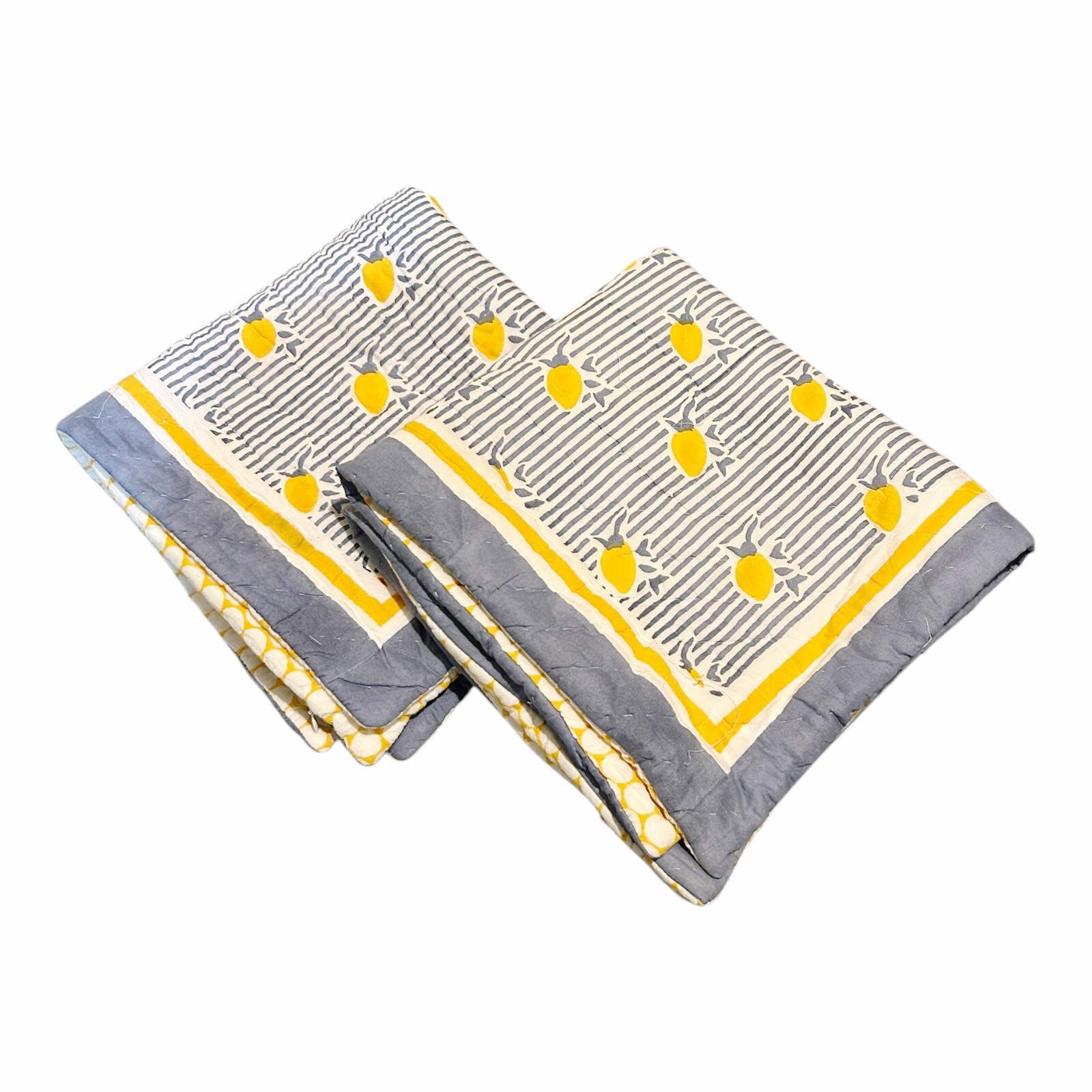Serena & Lily Set of 2 Pintucked Euro Sham Lemon Print French Country