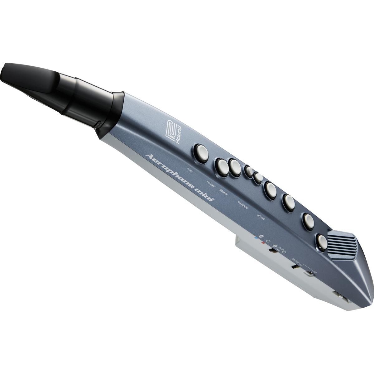 Roland Aerophone AE-01 Mini Digital Wind Instrument
