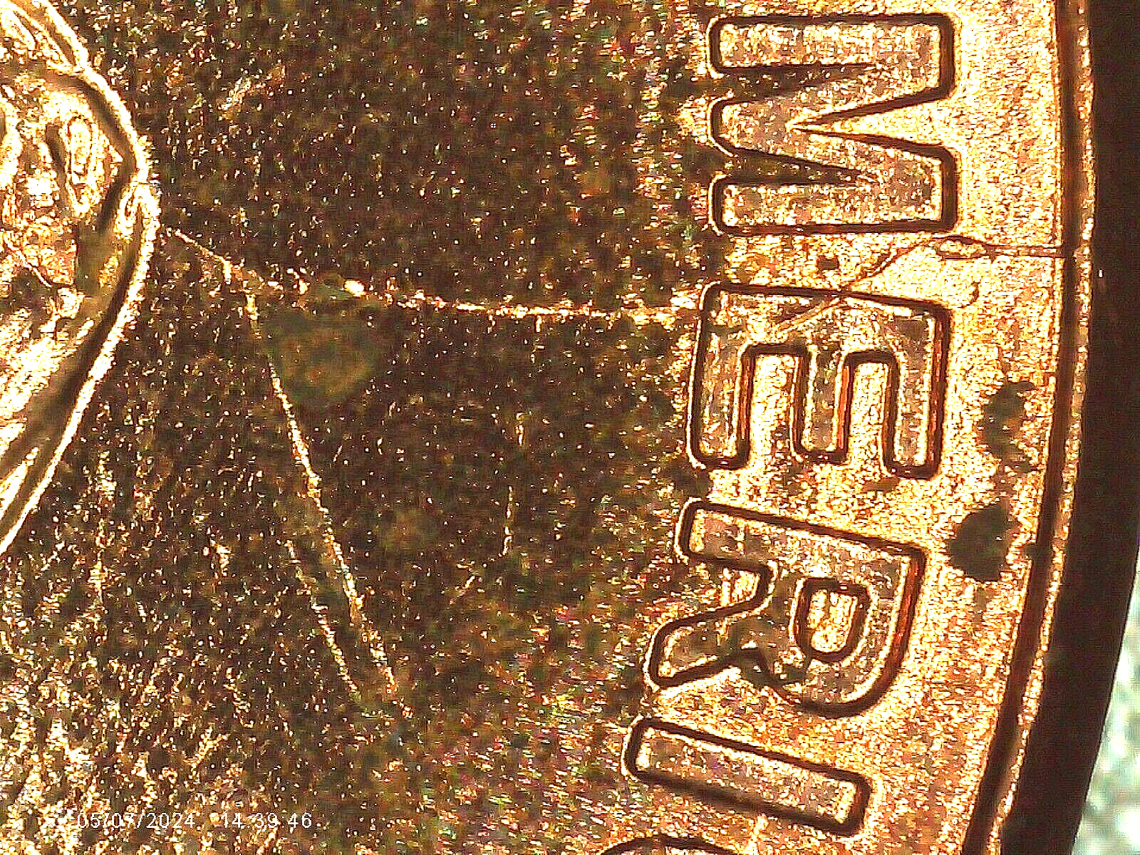 2009 P BU FY DOUBLED DIE REVERSE ERROR WDDR-037