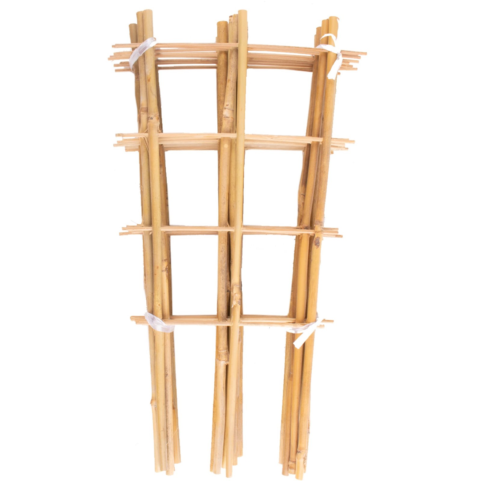 Avalution 10 Pack Bamboo Trellis for Climbing 10 PACK-16 inches, Fan-Shaped