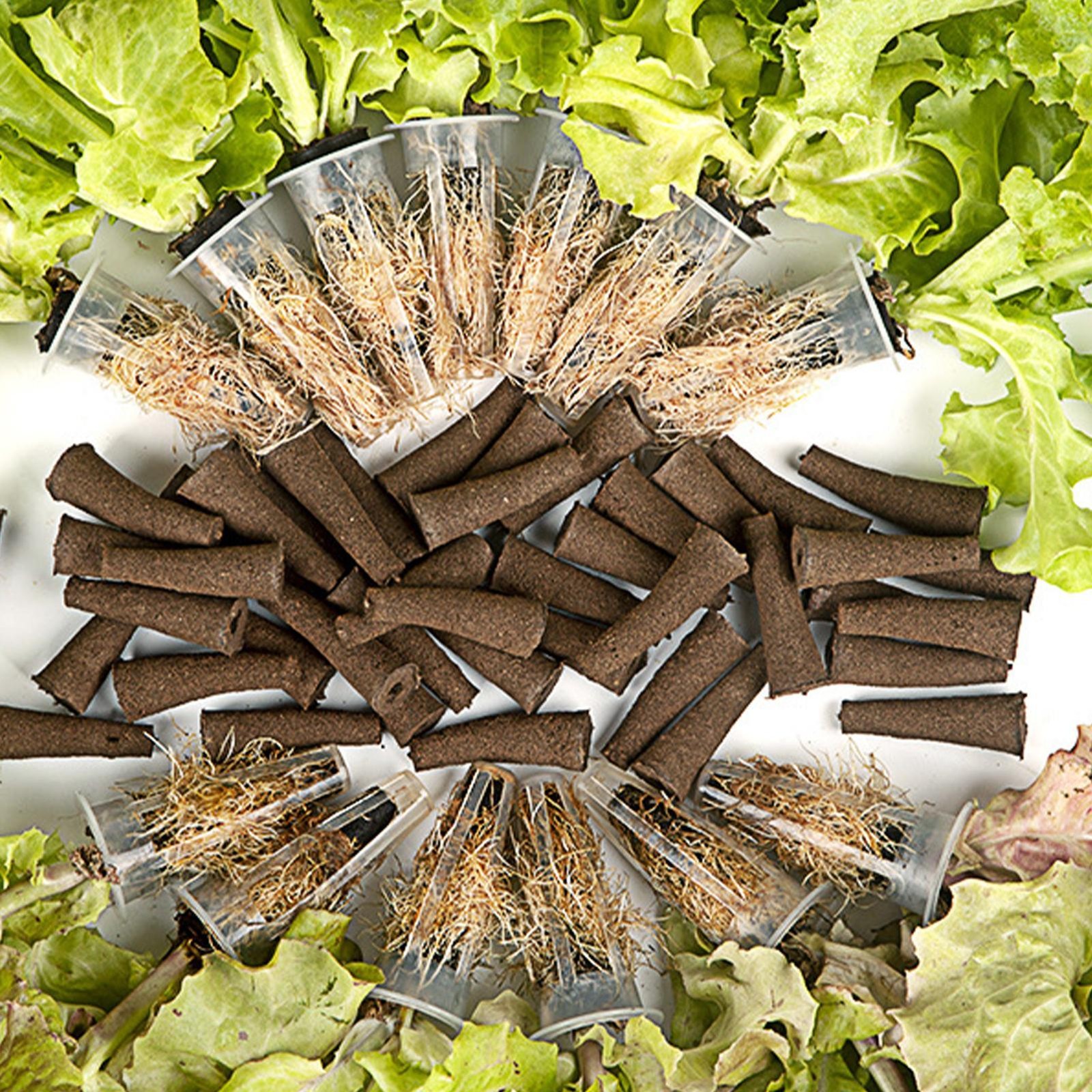 Grow Sponge Hydroponics Replacement Seed Starter Pods Plug Root Growth Kit