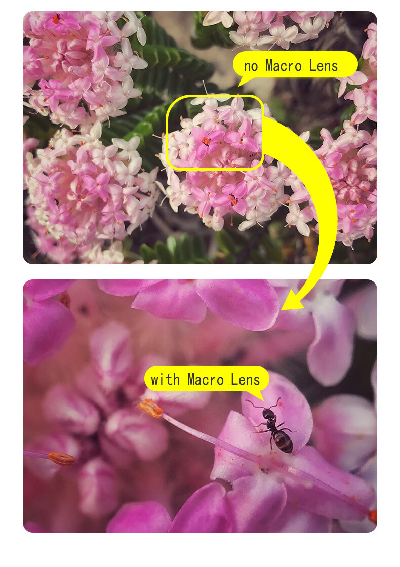 Kase Master Smartphone Close Focusing Macro Lens Plus
