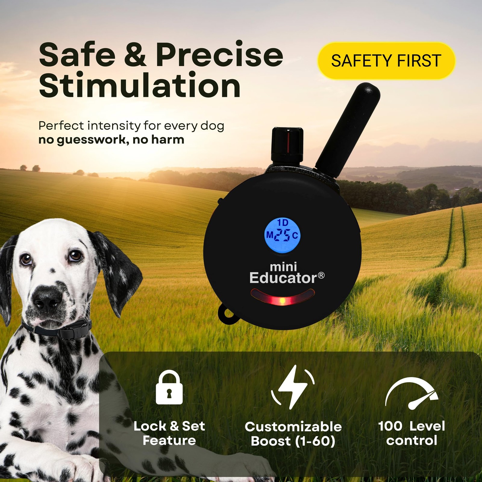 Mini Educator E-Collar ET-300 / ET-302 Dog Training Collar System with Remote -