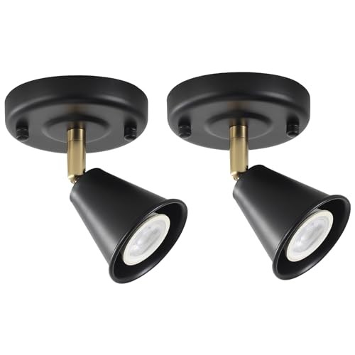 Modern Flush Mount Ceiling Spot Light, Adjustable Directional 1 light (2 pack)