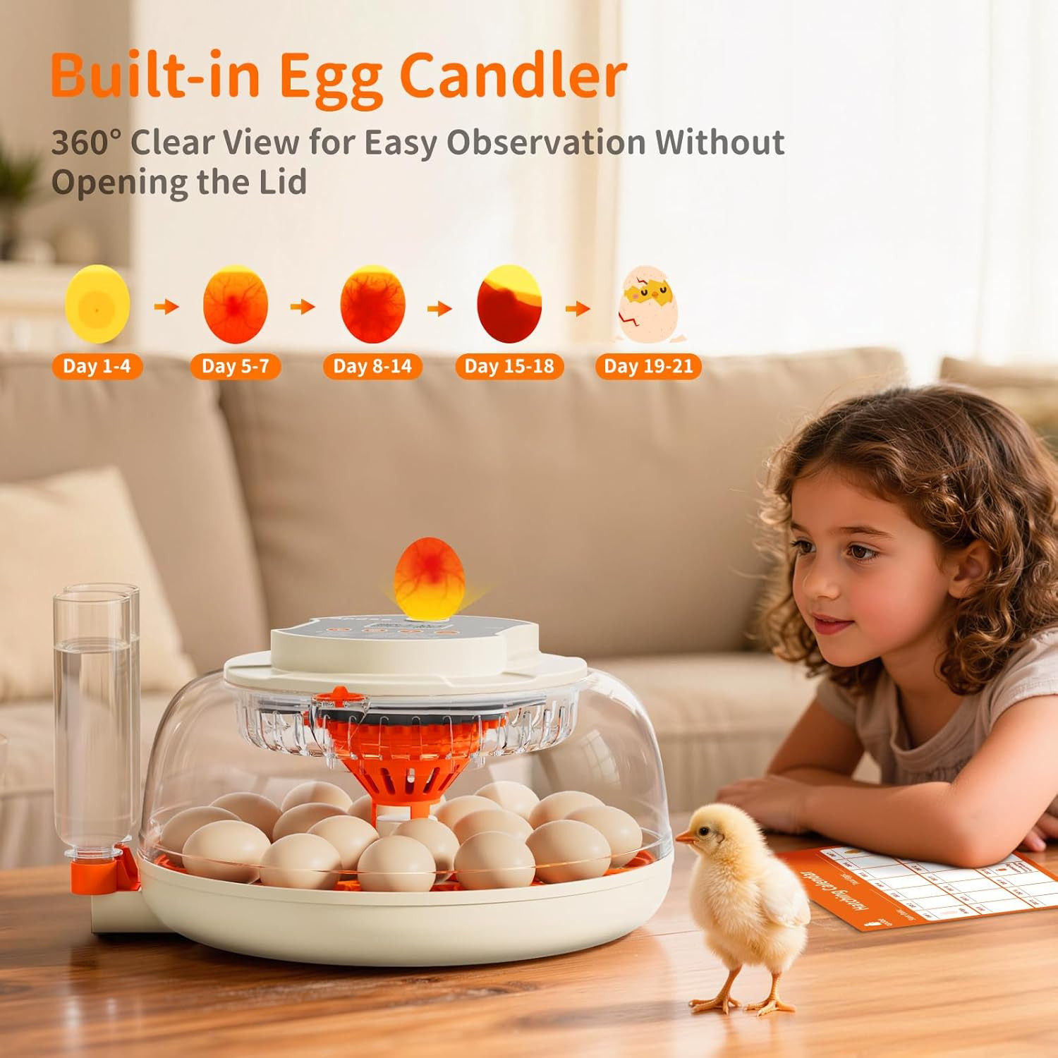 Egg Incubators for Hatching Eggs, Temperature and Humidity Control, Automatic Eg