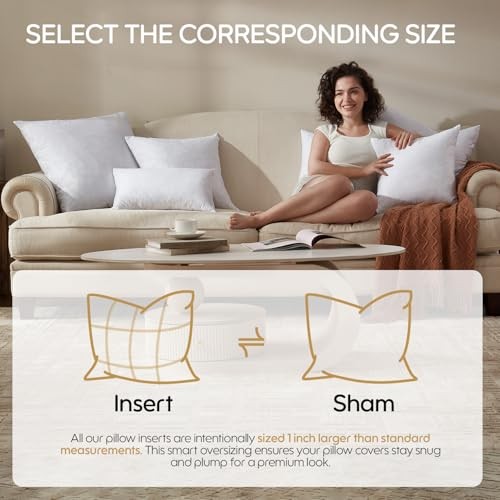 Feather Throw Pillow Inserts Set of Soft Fluffy Square 20 x 20 20 x 20-Inch 4