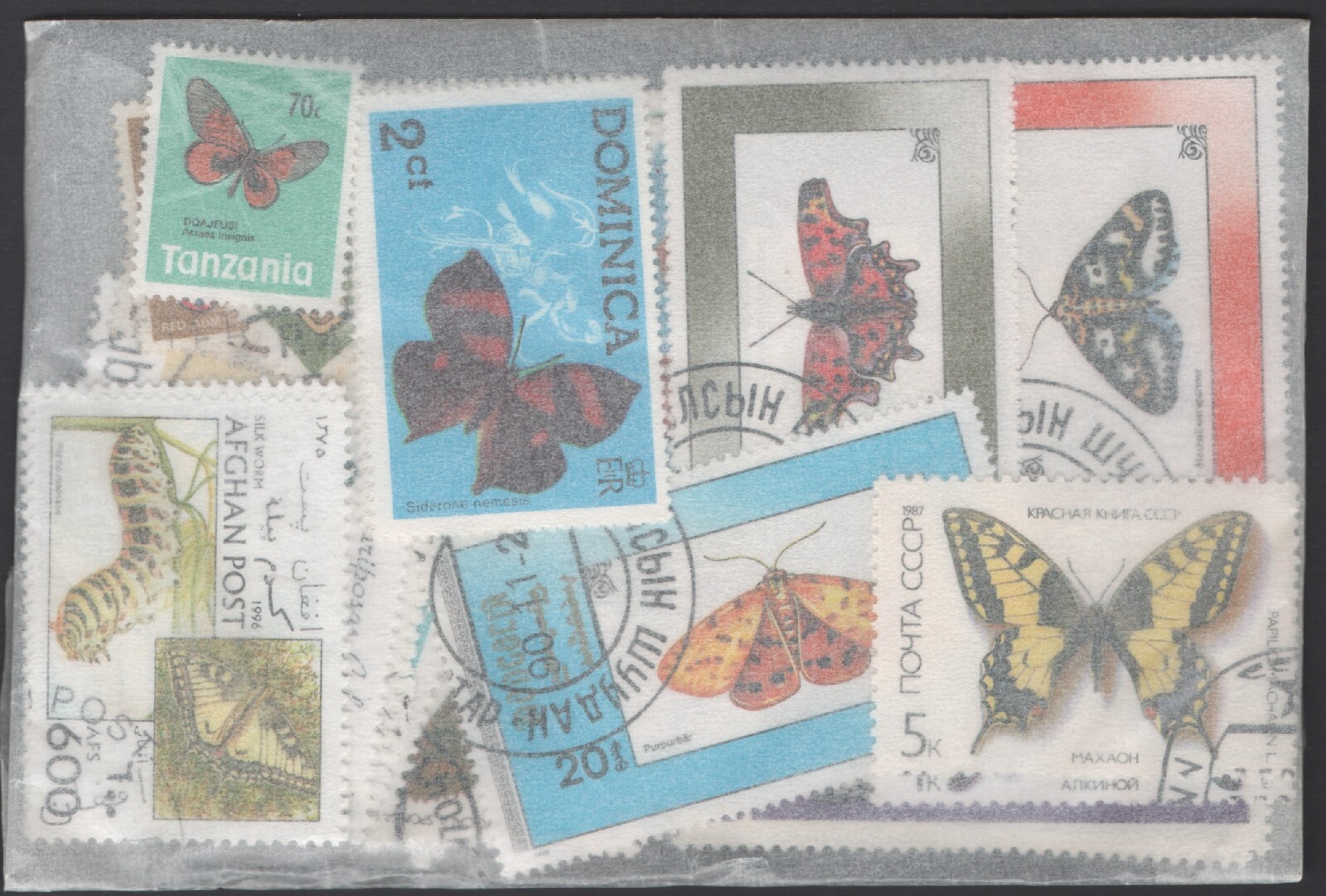 Thematic Packet 50 Different Butterflies and Moths