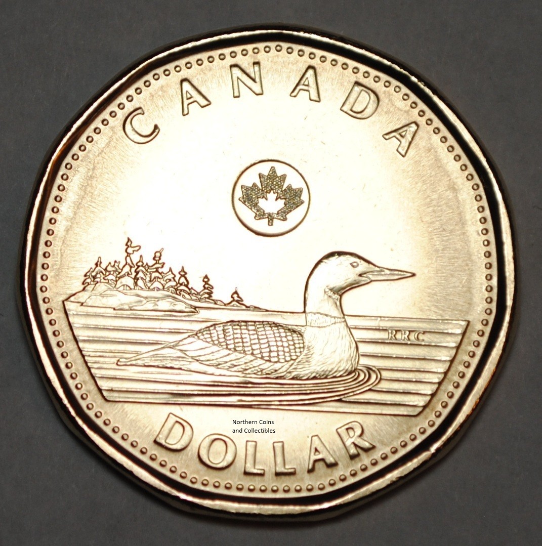 Canada 2026 BU 1 Dollar Canadian Loonie Uncirculated From Mint Roll