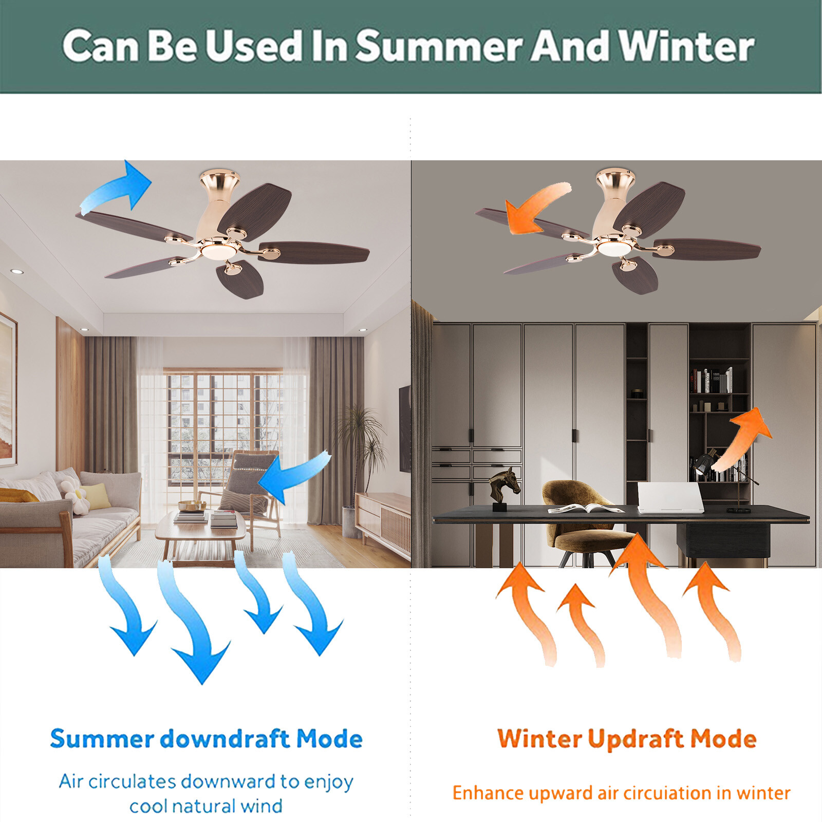 Ceiling Fan Chandelier, Ceiling Fan with Remote, Ceiling Fans with Lights