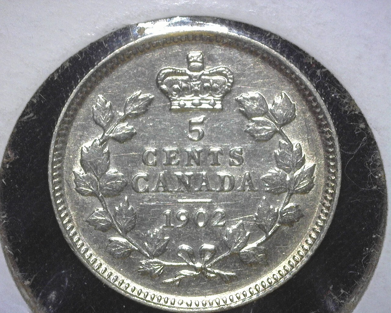 CANADA 1902 SILVER 5 CENTS KM9 ABOUT UNCIRCULATED NO MINTMARK ~FCS-29