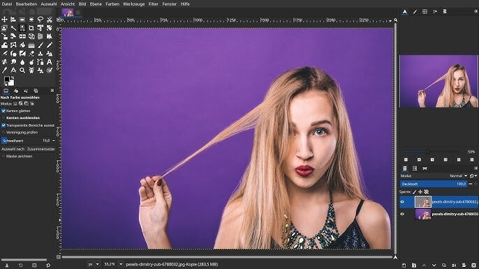 GIMP 3.0.4 (2025 Edition) Pro Graphic Design - Image Editing Software Program CD
