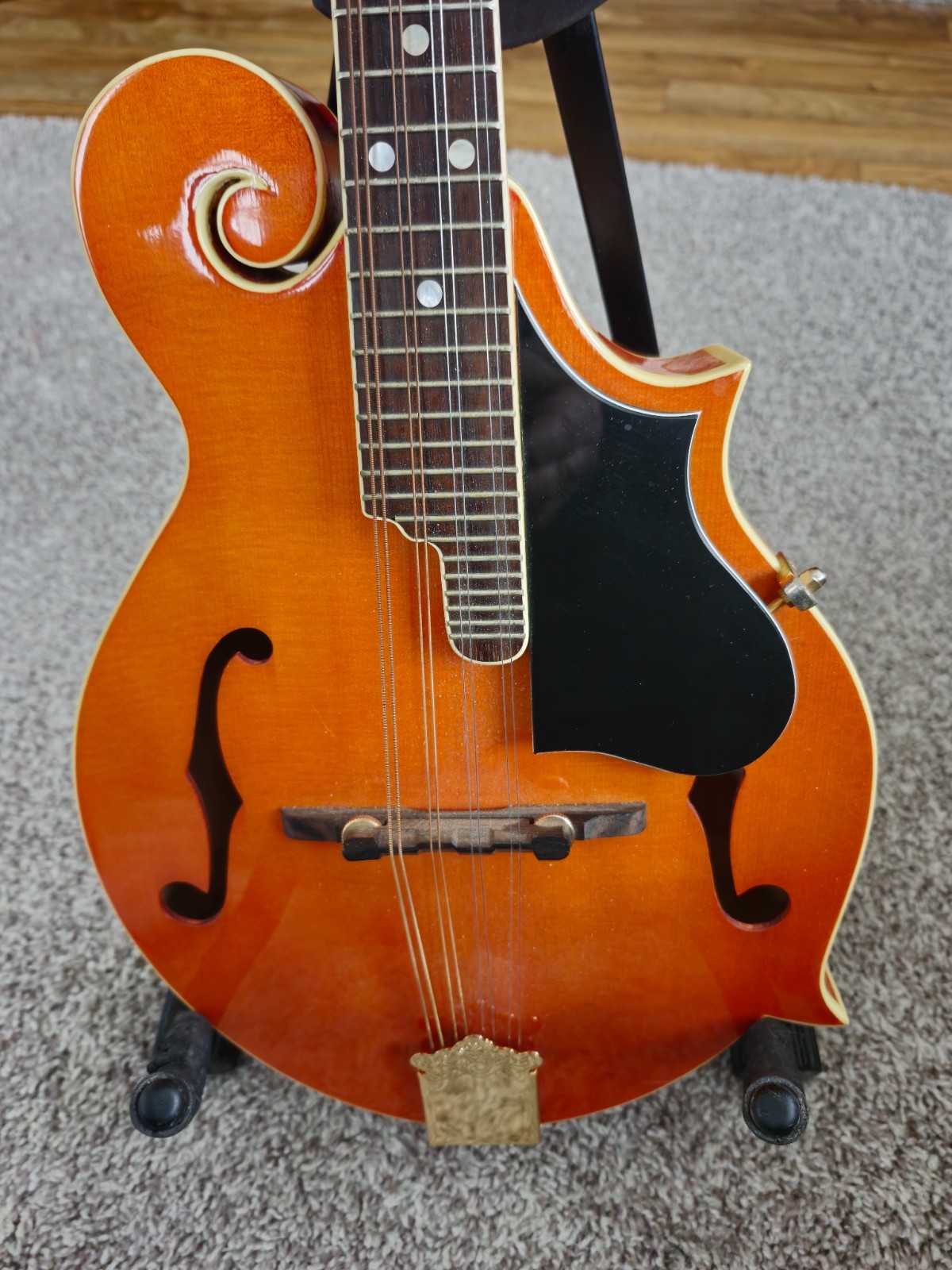 Michael Kelly Mandolin