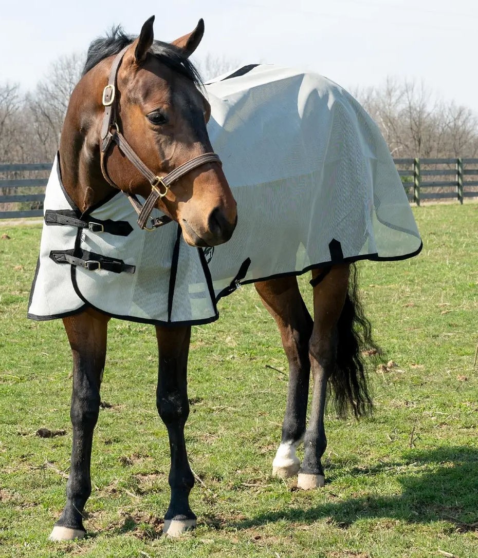Horse Mesh Fly Sheet - PVC Bug Barrier - Sizes 69" to 84"