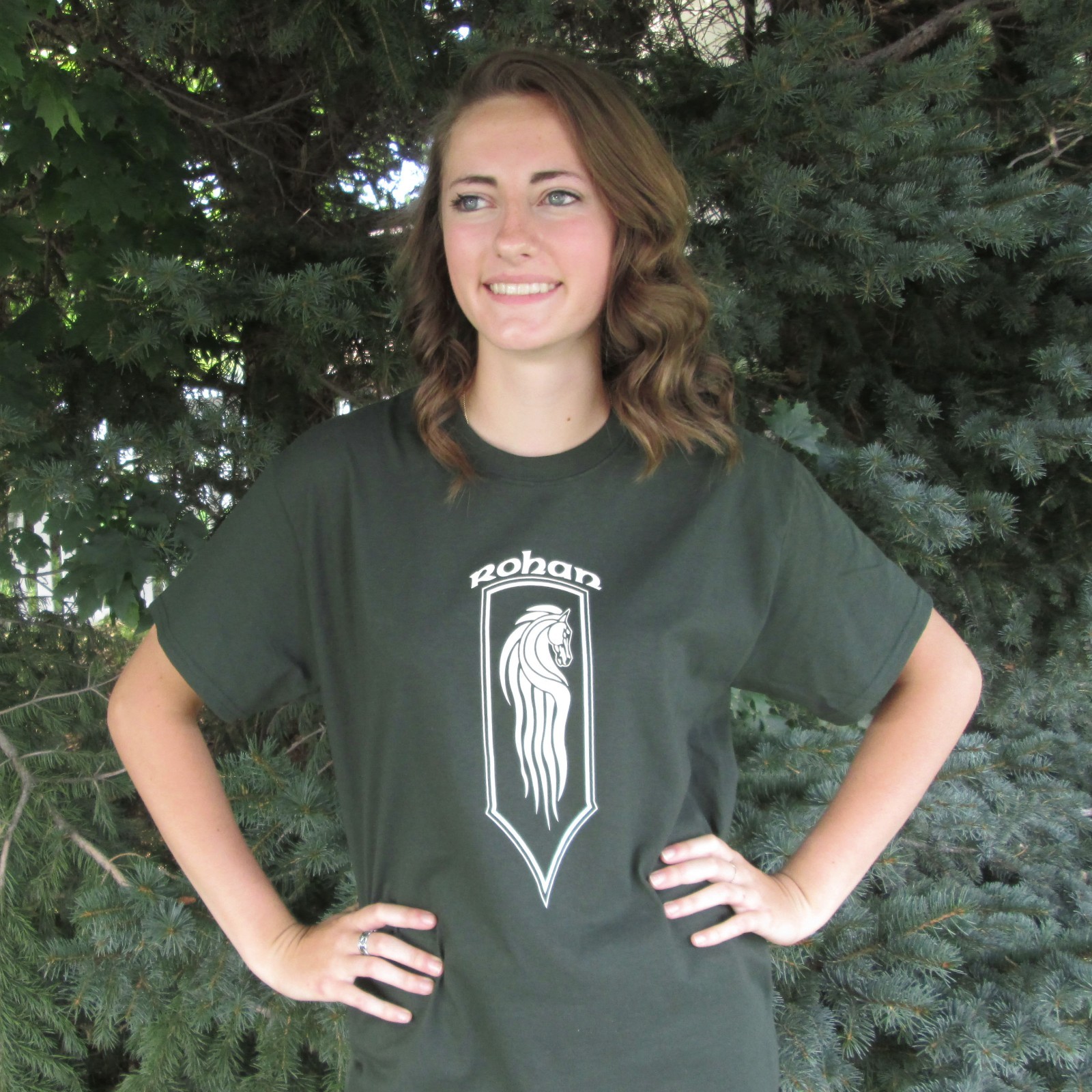 the lord of the rings the hobbit ROHAN BANNER HORSE t-shirt SCREEN PRINTED