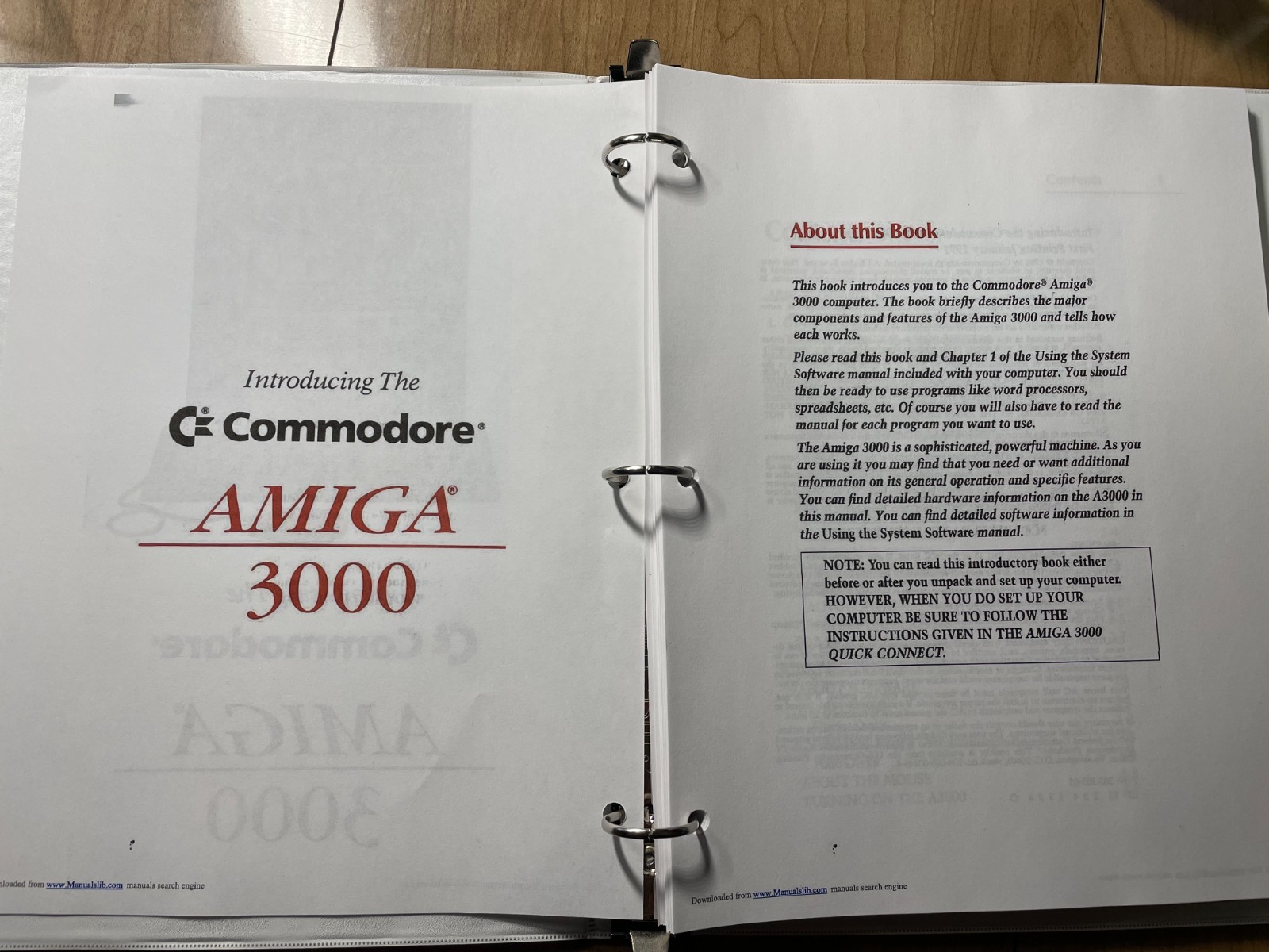 Re-Amiga 3000 Computer / CheckMate 1500 Conversion