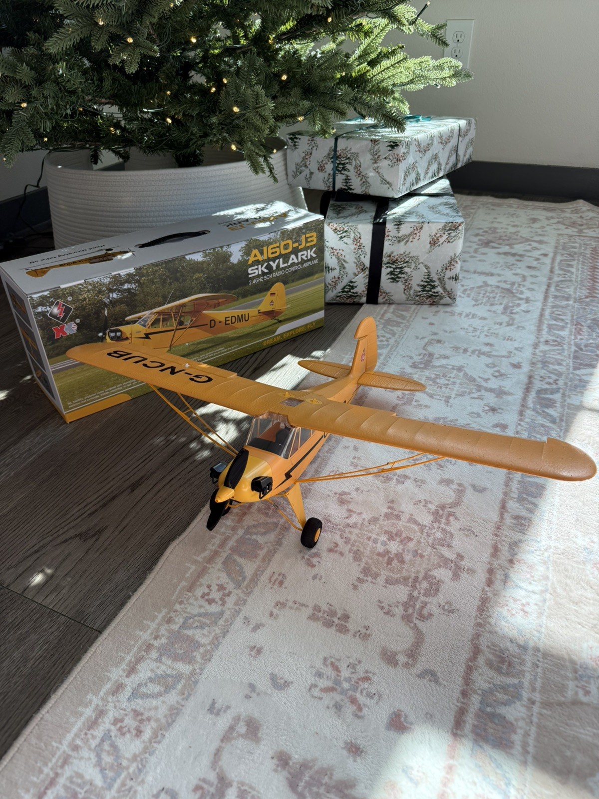 RC Cessna airplane