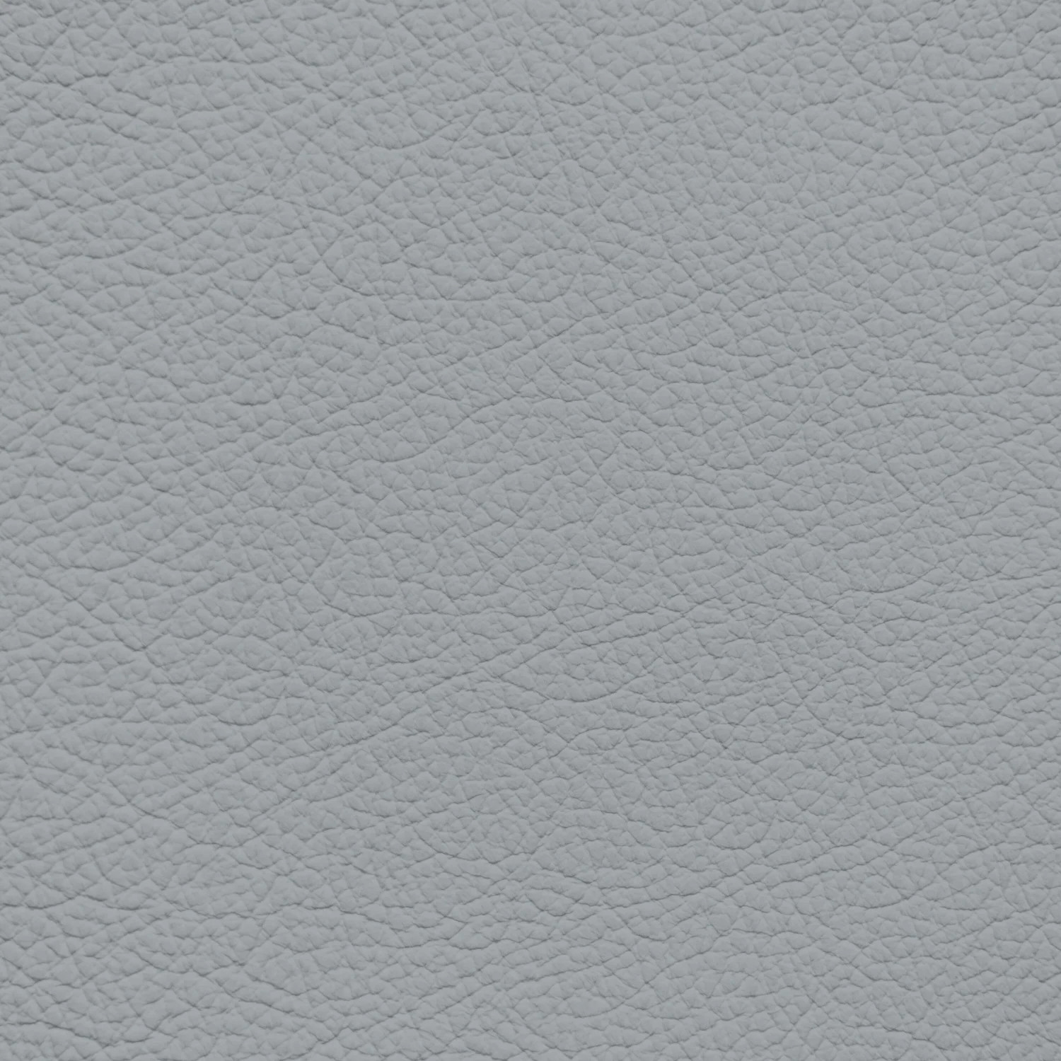 Jaguar Dove Leather Dye