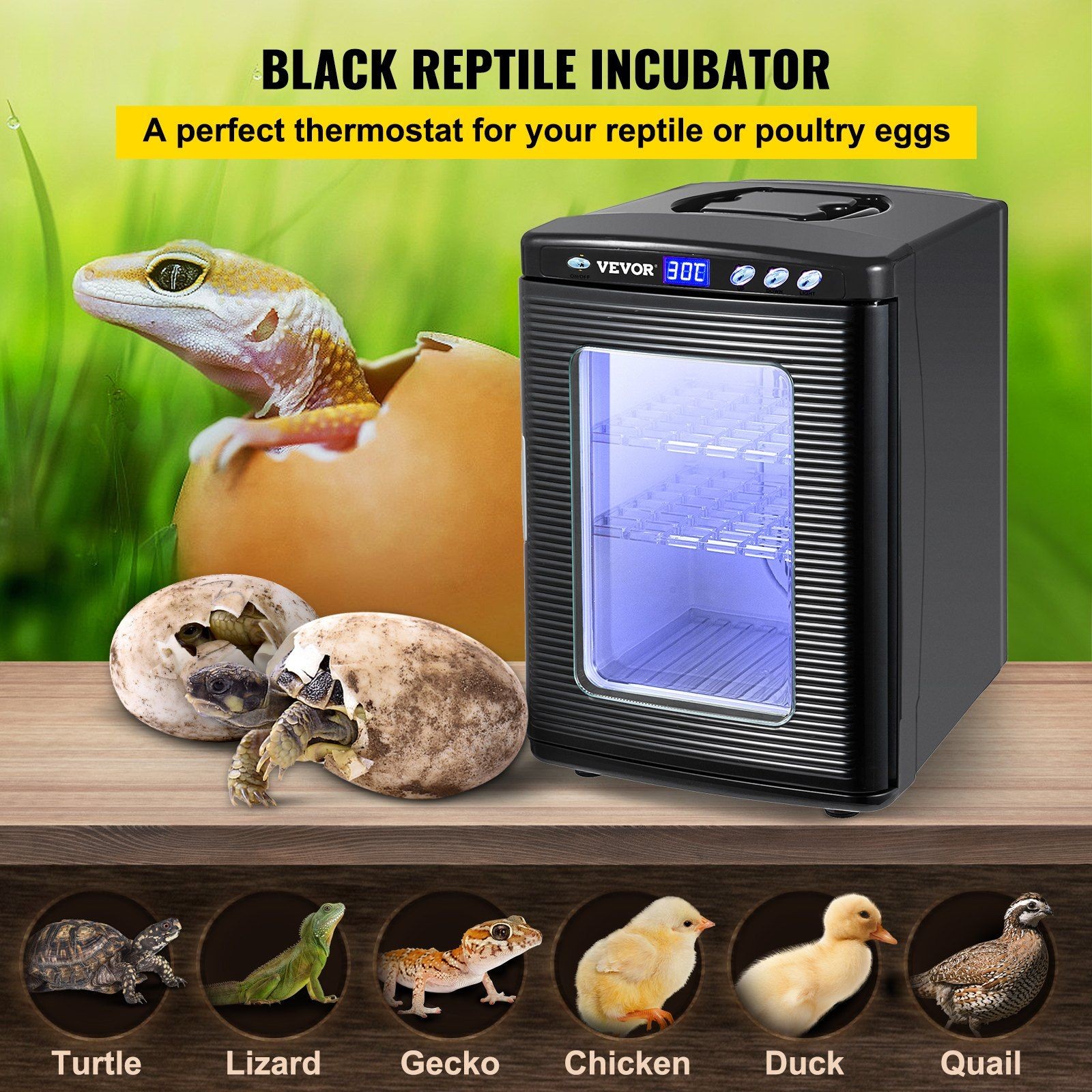 Precision 25L Incubator Maintaining Constant Temp for Delicate Eggs