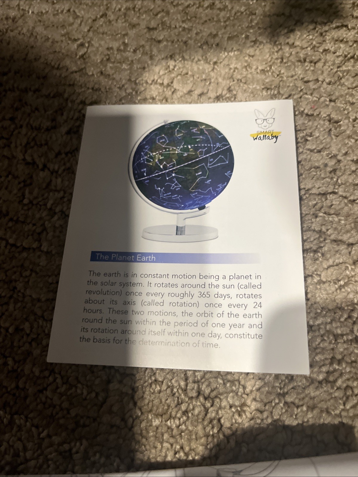 9" Illuminated Educational Kids World Globe + STEM Flags & Countries Interact...